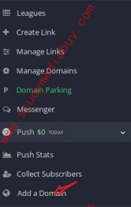 how to set domain on monetizer