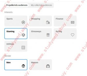 how to setup push notification campaign on propellerads2