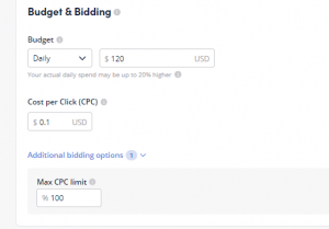 outbrain campaign advanced setting option introduction